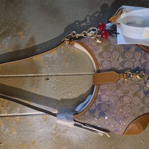 Coach Crystal Rainbow Ombre Signature Hampton Hobo Shoulder Bag